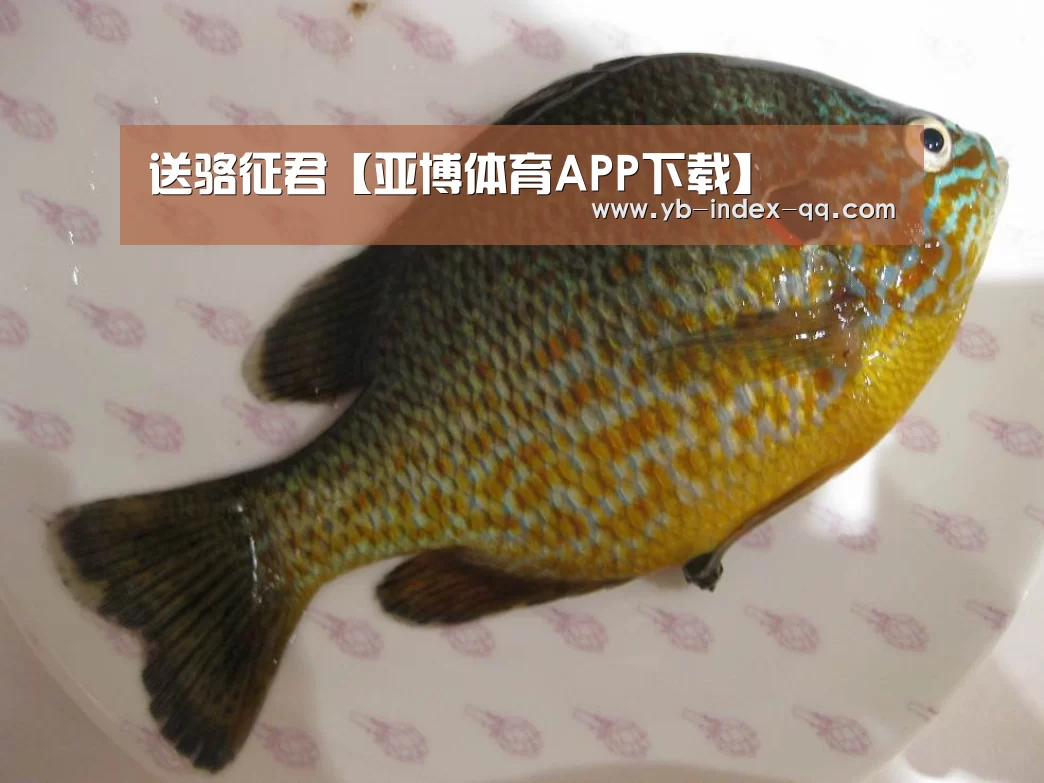 亚博体育官网